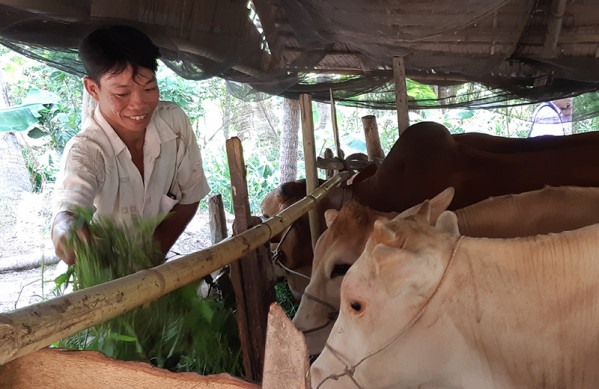 Anesthesia and Intensive Care Simulation Center opens in HCM City, Ly Son Island to face overloaded traffic, Illegal wood cutting rampant in Kon Tum, HCM City’s District 2 gets new bridge