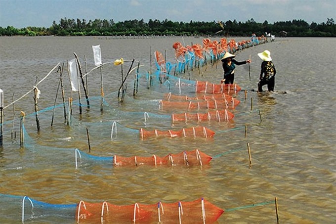 Blood clam farmers face losing their livelihoods, Severe penalties needed to check speeding on HCM City roads, MOLISA and Bloomberg join hands to prevent child drowning,