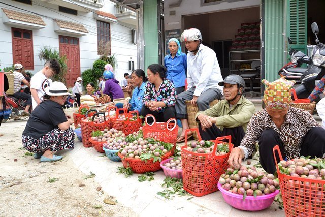 Beauty of Bac Ha in plum harvesting season, social news, vietnamnet bridge, english news, Vietnam news, news Vietnam, vietnamnet news, Vietnam net news, Vietnam latest news, vn news, Vietnam breaking news