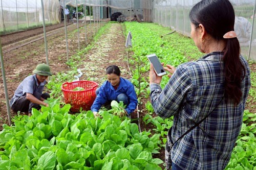 Code and barcodes are necessary to ensure safety, Number of farm households in HCM City decreases: GSO, Measures sought to facilitate Vietnam’s shrimp export to US, Vietnam has good growth momentum: Fitch forum