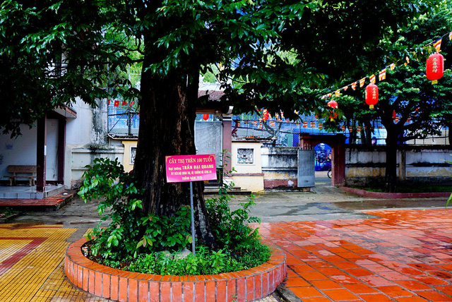 A visit to the Southern One Pillar Pagoda, travel news, Vietnam guide, Vietnam airlines, Vietnam tour, tour Vietnam, Hanoi, ho chi minh city, Saigon, travelling to Vietnam, Vietnam travelling, Vietnam travel, vn news