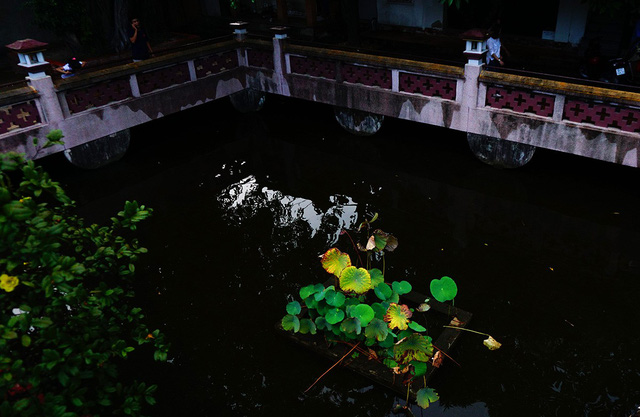 A visit to the Southern One Pillar Pagoda, travel news, Vietnam guide, Vietnam airlines, Vietnam tour, tour Vietnam, Hanoi, ho chi minh city, Saigon, travelling to Vietnam, Vietnam travelling, Vietnam travel, vn news