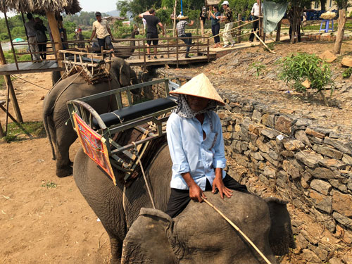 Don Village struggles to keep elephants for tourism, travel news, Vietnam guide, Vietnam airlines, Vietnam tour, tour Vietnam, Hanoi, ho chi minh city, Saigon, travelling to Vietnam, Vietnam travelling, Vietnam travel, vn news
