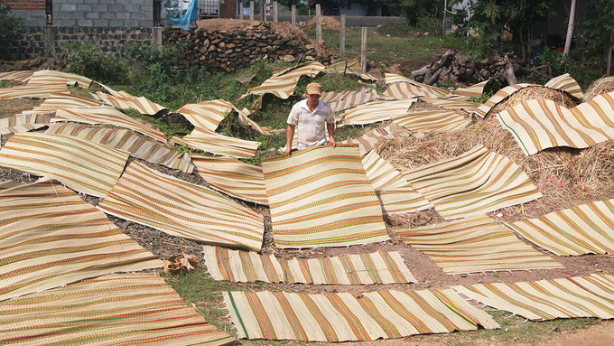 Discover Phu Yen's sedge mat craft village, travel news, Vietnam guide, Vietnam airlines, Vietnam tour, tour Vietnam, Hanoi, ho chi minh city, Saigon, travelling to Vietnam, Vietnam travelling, Vietnam travel, vn news