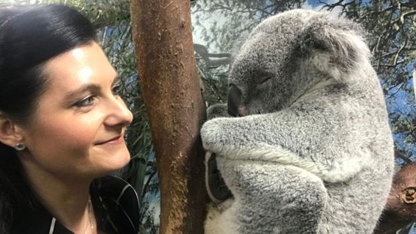 Saving koalas, gene study, solution to deadly sex disease