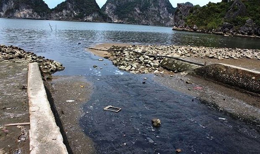 Wastewater ruining Ha Long Bay, Vietnam environment, climate change in Vietnam, Vietnam weather, Vietnam climate, pollution in Vietnam, environmental news, sci-tech news, vietnamnet bridge, english news, Vietnam news, news Vietnam, vietnamnet news, Vietna