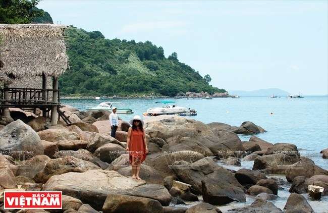 Bai Rang beach in Da Nang - the harmony of forest and sea, travel news, Vietnam guide, Vietnam airlines, Vietnam tour, tour Vietnam, Hanoi, ho chi minh city, Saigon, travelling to Vietnam, Vietnam travelling, Vietnam travel, vn news