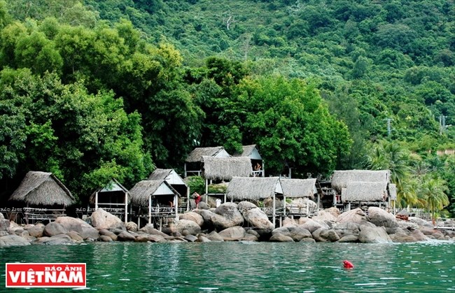 Bai Rang beach in Da Nang - the harmony of forest and sea, travel news, Vietnam guide, Vietnam airlines, Vietnam tour, tour Vietnam, Hanoi, ho chi minh city, Saigon, travelling to Vietnam, Vietnam travelling, Vietnam travel, vn news