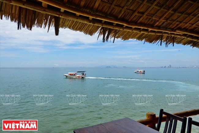 Bai Rang beach in Da Nang - the harmony of forest and sea, travel news, Vietnam guide, Vietnam airlines, Vietnam tour, tour Vietnam, Hanoi, ho chi minh city, Saigon, travelling to Vietnam, Vietnam travelling, Vietnam travel, vn news