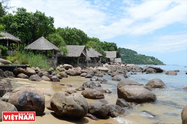 Bai Rang beach in Da Nang - the harmony of forest and sea, travel news, Vietnam guide, Vietnam airlines, Vietnam tour, tour Vietnam, Hanoi, ho chi minh city, Saigon, travelling to Vietnam, Vietnam travelling, Vietnam travel, vn news