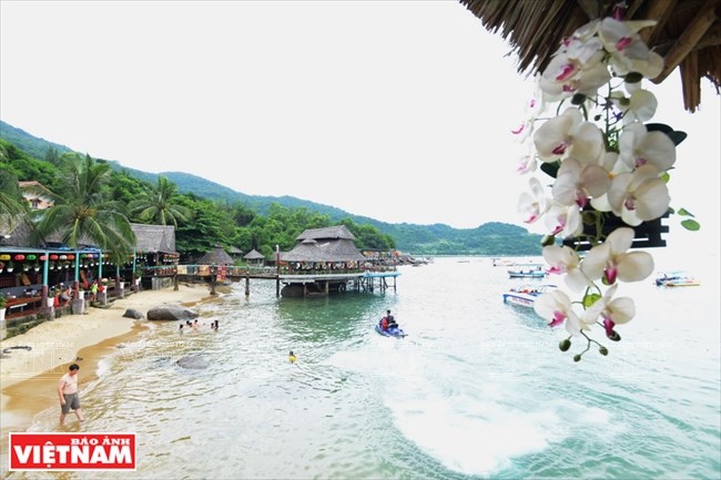 Bai Rang beach in Da Nang - the harmony of forest and sea, travel news, Vietnam guide, Vietnam airlines, Vietnam tour, tour Vietnam, Hanoi, ho chi minh city, Saigon, travelling to Vietnam, Vietnam travelling, Vietnam travel, vn news