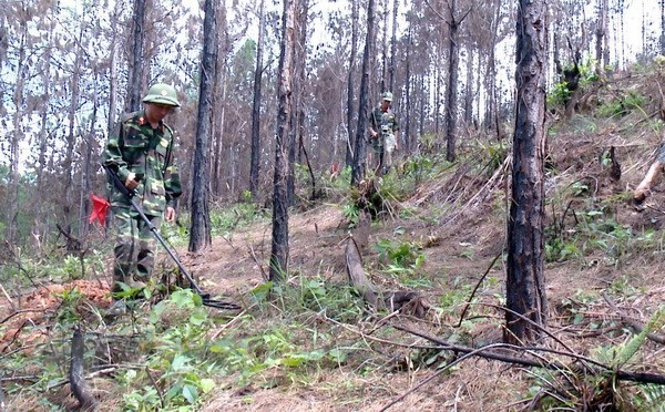 HCM City police complimented for anti-terrorism efforts, Training course on UXO actions opened for military officials, Vietnam attends World Cities Summit in Singapore, Young scientists voluntarily join agricultural restructuring