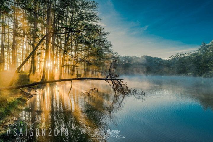 Vietnam’s sublime beauty on show in photo contest, entertainment events, entertainment news, entertainment activities, what’s on, Vietnam culture, Vietnam tradition, vn news, Vietnam beauty, news Vietnam, Vietnam news, Vietnam net news, vietnamnet news, v