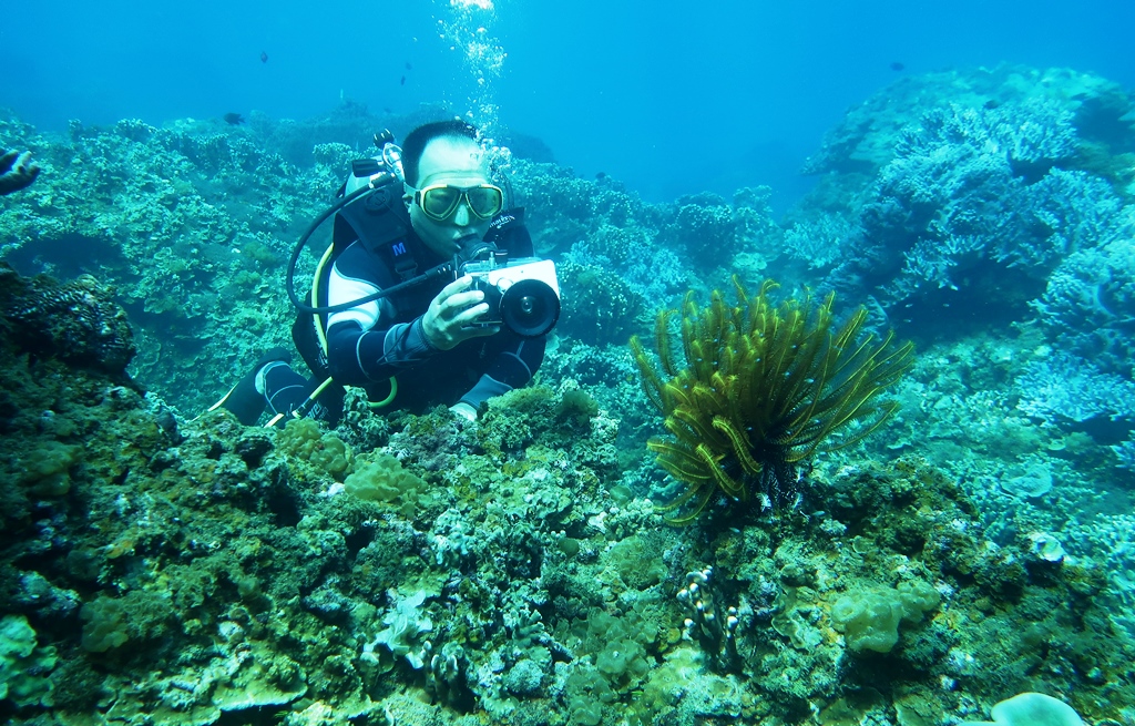 Quang Nam authorities urged to protect Cu Lao Cham coral reefs, Vietnam environment, climate change in Vietnam, Vietnam weather, Vietnam climate, pollution in Vietnam, environmental news, sci-tech news, vietnamnet bridge, english news, Vietnam news, news