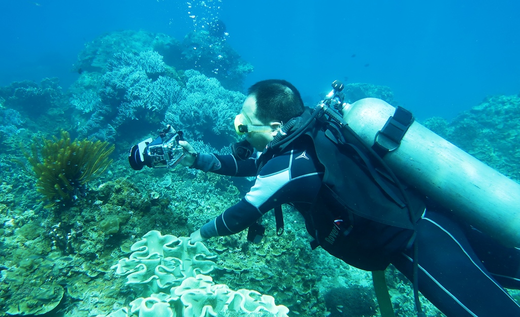 Quang Nam authorities urged to protect Cu Lao Cham coral reefs, Vietnam environment, climate change in Vietnam, Vietnam weather, Vietnam climate, pollution in Vietnam, environmental news, sci-tech news, vietnamnet bridge, english news, Vietnam news, news