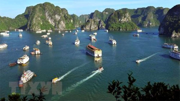 ’abandoned’ tourists get help in Ha Long Bay, Vietnam economy, Vietnamnet bridge, English news about Vietnam, Vietnam news, news about Vietnam, English news, Vietnamnet news, latest news on Vietnam, Vietnam