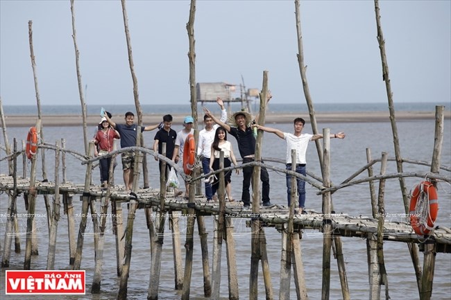 Unspoiled beauty of Thai Binh beaches, travel news, Vietnam guide, Vietnam airlines, Vietnam tour, tour Vietnam, Hanoi, ho chi minh city, Saigon, travelling to Vietnam, Vietnam travelling, Vietnam travel, vn news