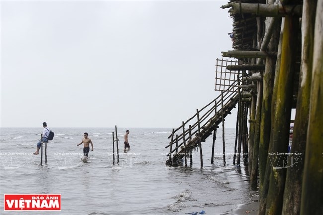 Unspoiled beauty of Thai Binh beaches, travel news, Vietnam guide, Vietnam airlines, Vietnam tour, tour Vietnam, Hanoi, ho chi minh city, Saigon, travelling to Vietnam, Vietnam travelling, Vietnam travel, vn news