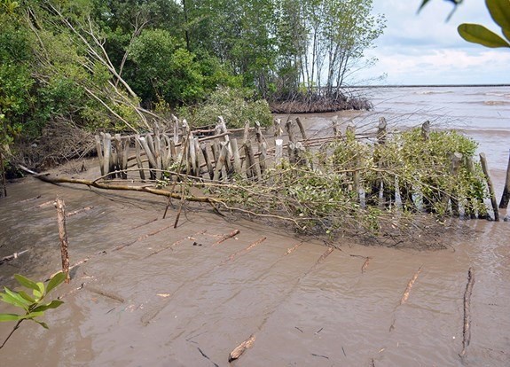 Kien Giang faces serious riverbank, coastal erosion, Vietnam environment, climate change in Vietnam, Vietnam weather, Vietnam climate, pollution in Vietnam, environmental news, sci-tech news, vietnamnet bridge, english news, Vietnam news, news Vietnam, vi