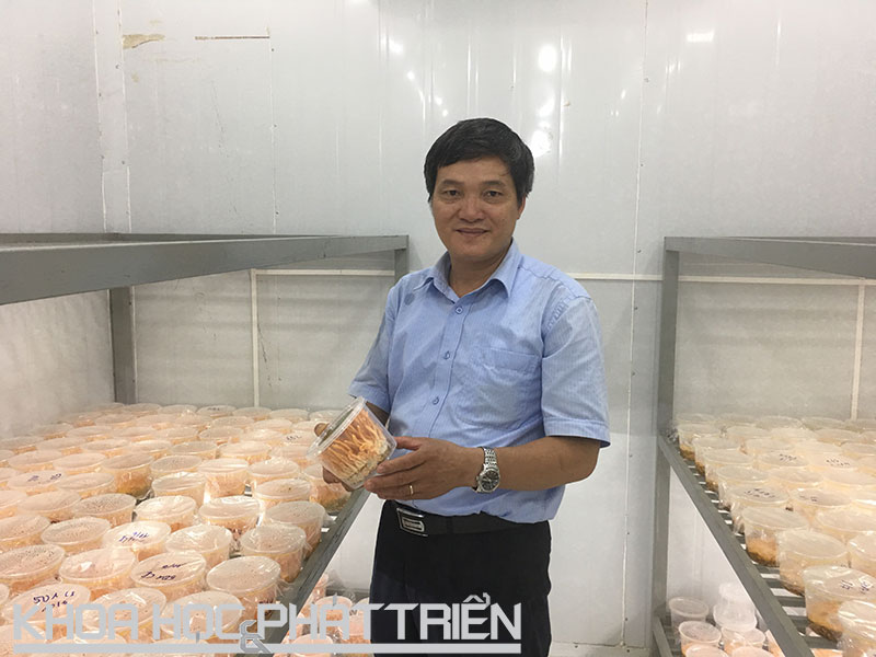 vietnam economy, business news, vn news, vietnamnet bridge, english news, Vietnam news, news Vietnam, vietnamnet news, vn news, Vietnam net news, Vietnam latest news, Vietnam breaking news, Ngo Xuan Nghien, laboratory, mushroom