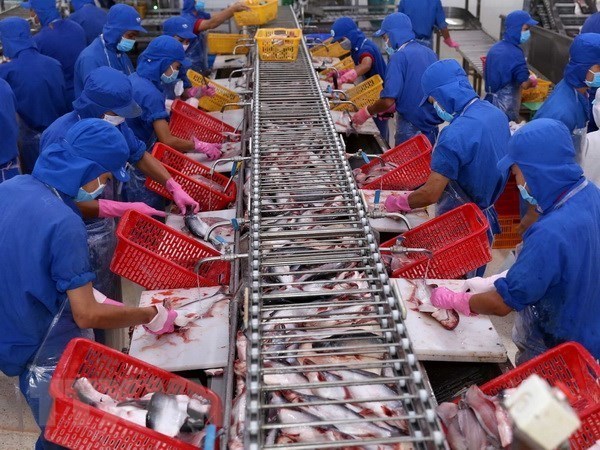 SCB sets up partnership with three Hong Kong banks, Tra fish exports to US enjoy strong surge