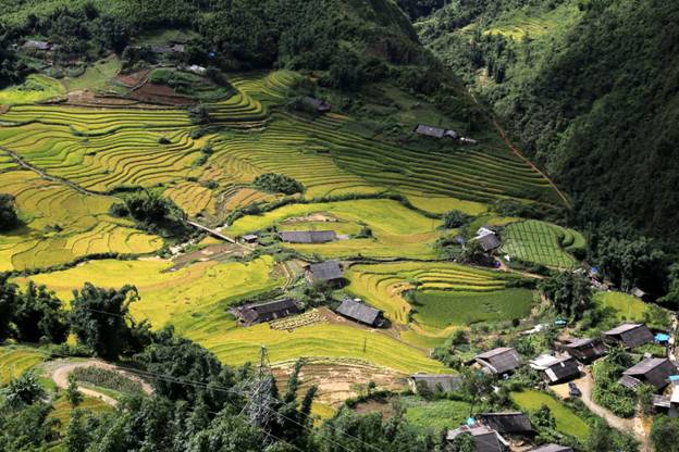 Fansipan in charming rice season, travel news, Vietnam guide, Vietnam airlines, Vietnam tour, tour Vietnam, Hanoi, ho chi minh city, Saigon, travelling to Vietnam, Vietnam travelling, Vietnam travel, vn news